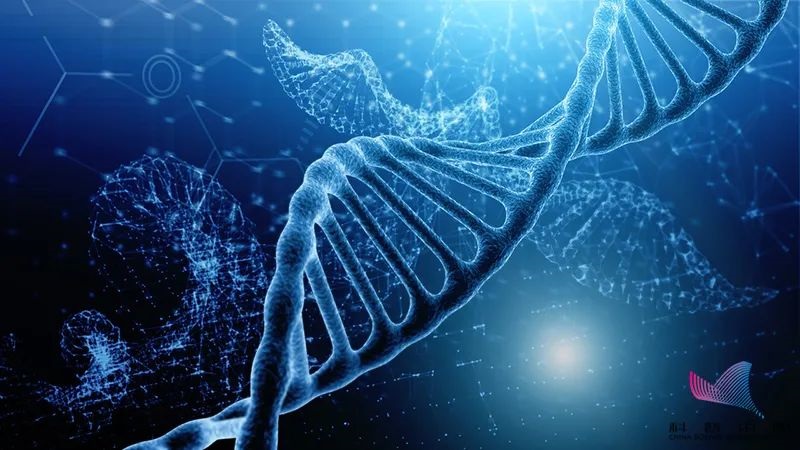 “滴血认亲”是否具有科学依据？