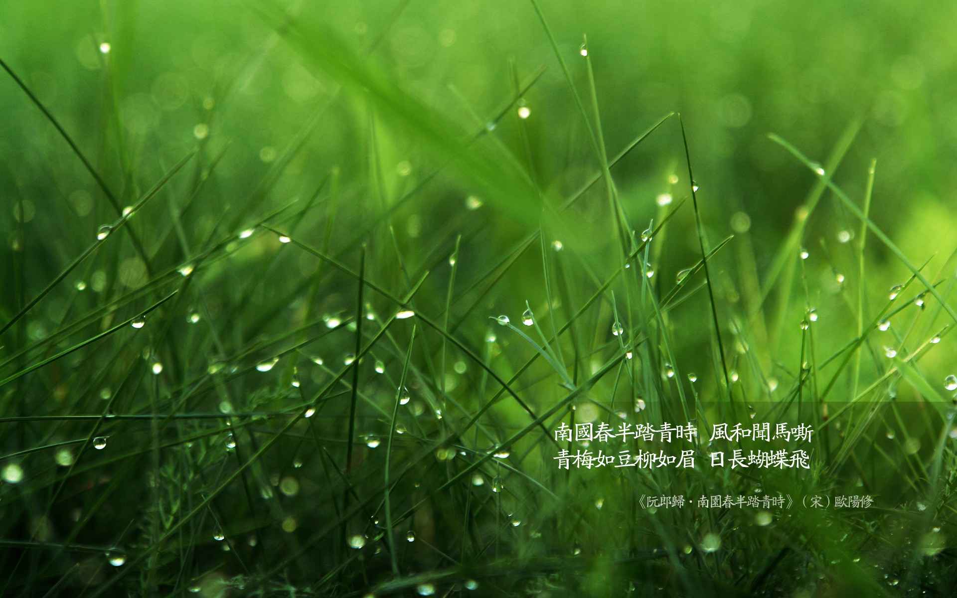 今日清明|清彻明朗 随风寄思