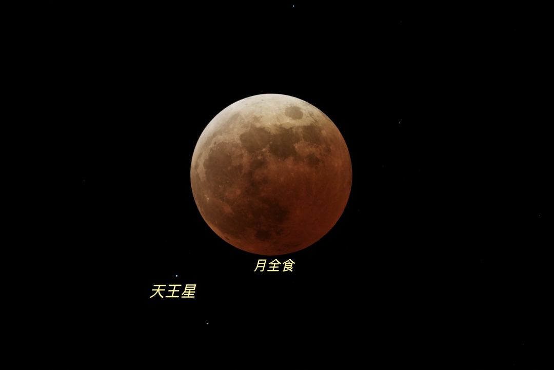 此时相望不相闻，愿逐月华流照君