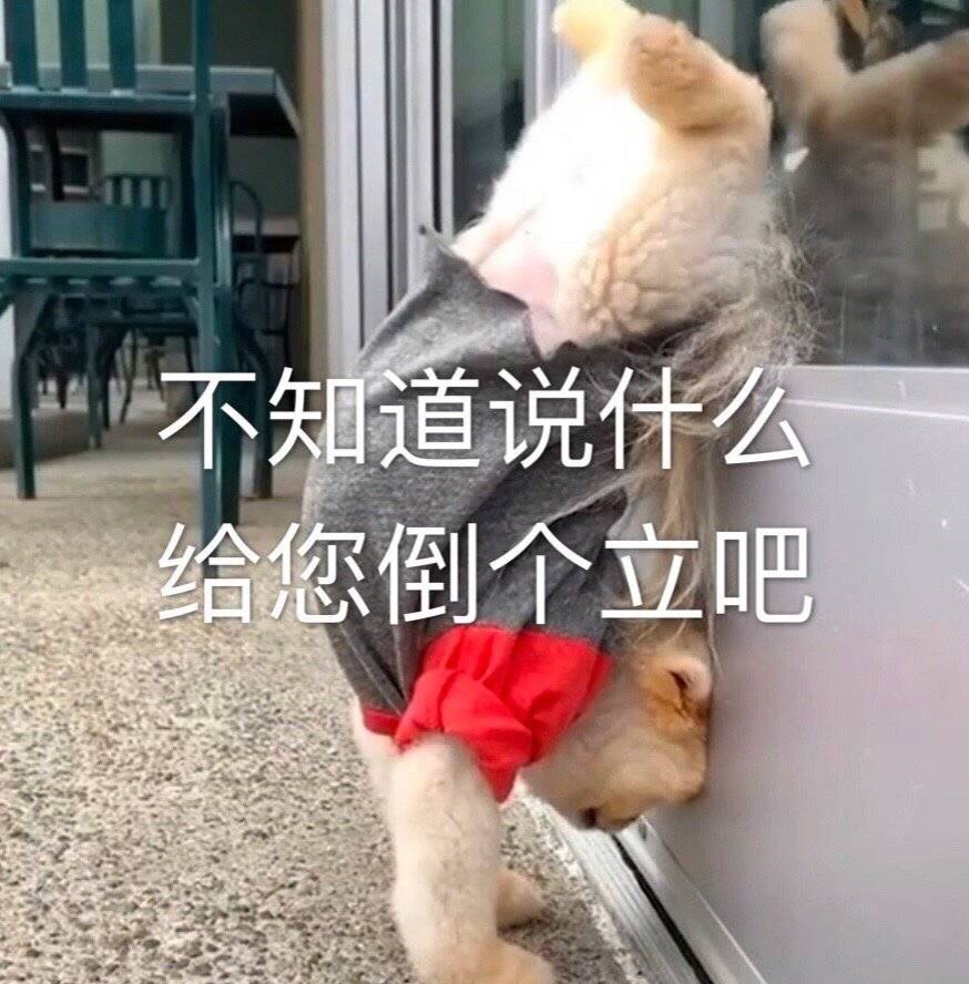 博望已去，飞牛仍在
